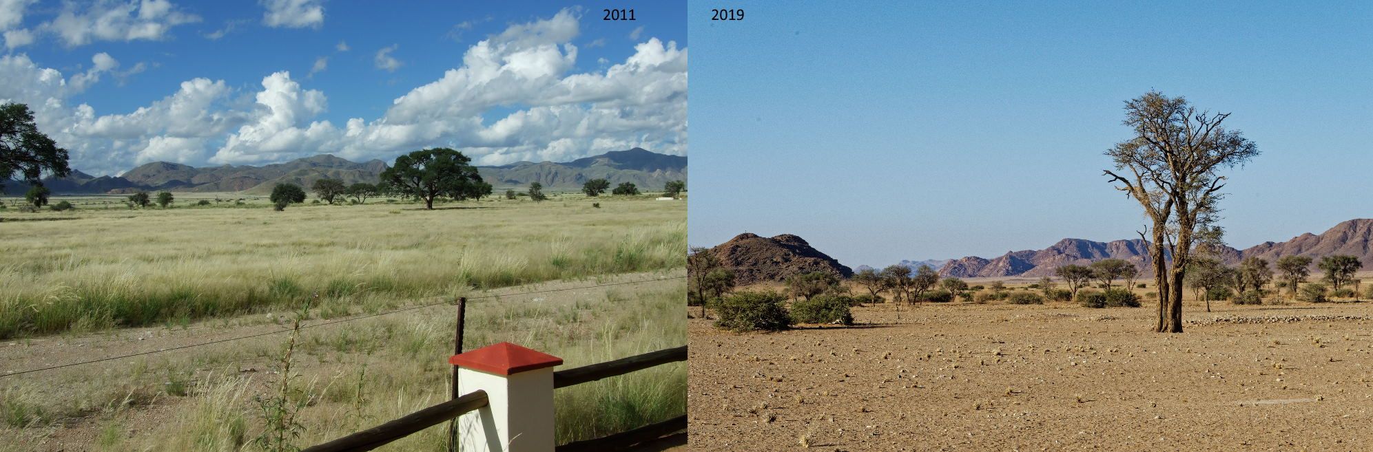 Kontraste: Namibia 2011 und 2019